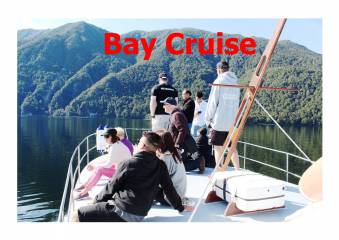 Bay Cruise