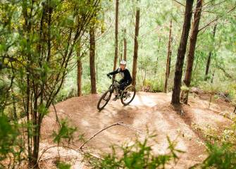 Waitangi Mountain Bike Park Experience