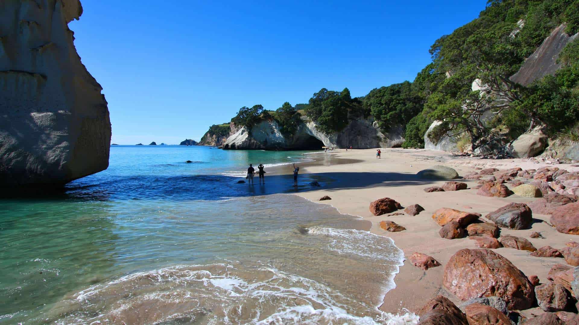 Image result for pauanui