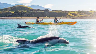 Explore Top Activities in Canterbury