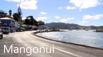 mangonui