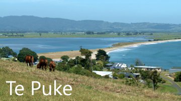 things-to-do-in-te-puke