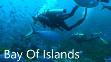 things-to-do-in-the-bay-of-islands
