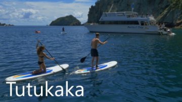 tutukaka