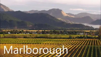 marlborough