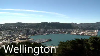 wellington