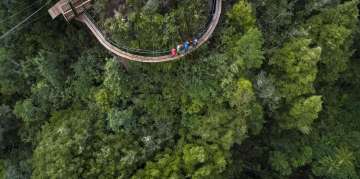 Ultimate Canopy Tour