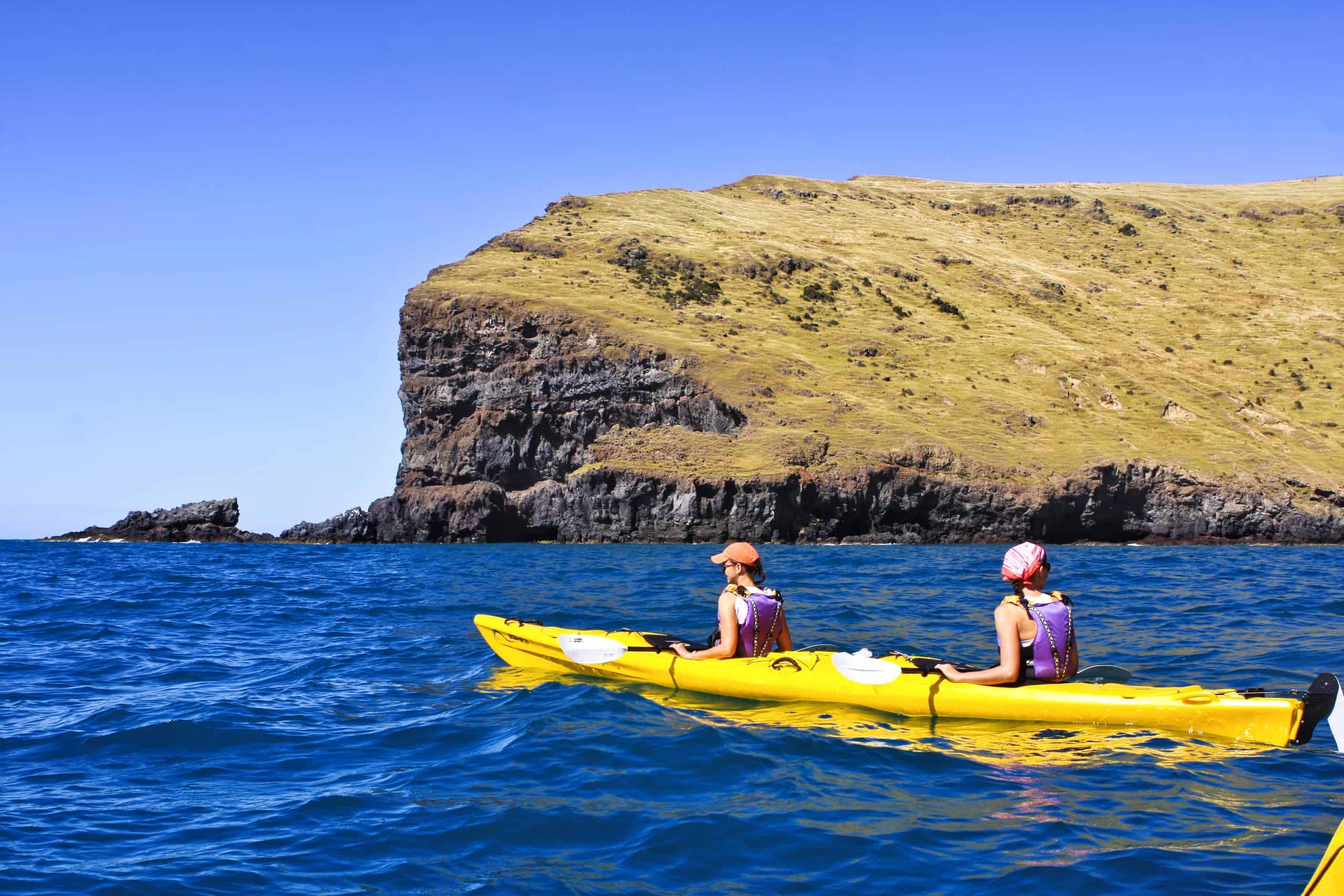 Hike and Kayak Combo Adventure Akaroa See and Do New Zealand