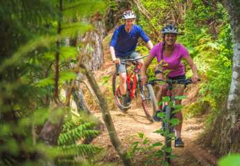 Adults Front Suspension Mountain Bike for the Waitangi Mountain Bike Park (Half Day Hire)