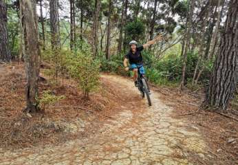 Adults Full Suspension ELECTRIC Mountain Bike for the Waitangi Mountain Bike Park (Half Day Hire)