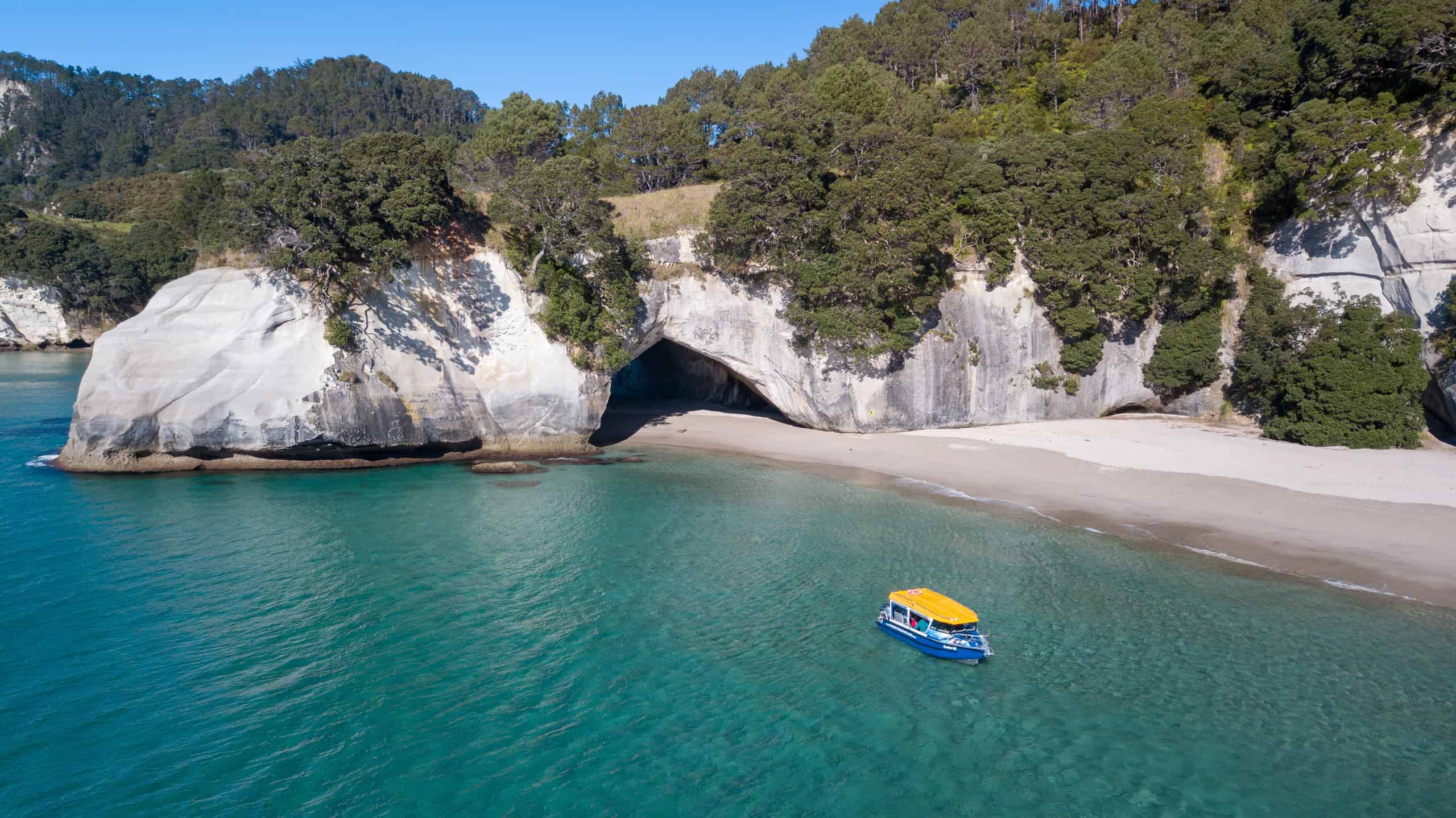 Cathedral Cove Glass Bottom Boat See and Do New Zealand
