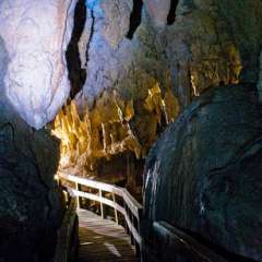 GLOW WORM CAVE TOUR