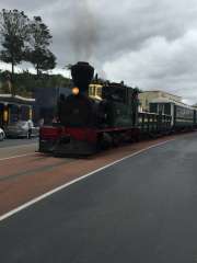 GLOW WORMS & TRAIN ADVENTURE 