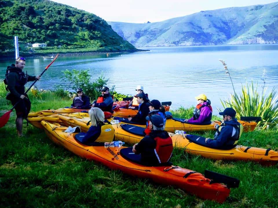 Guided sea kayak safari in Akaroa See and Do New Zealand