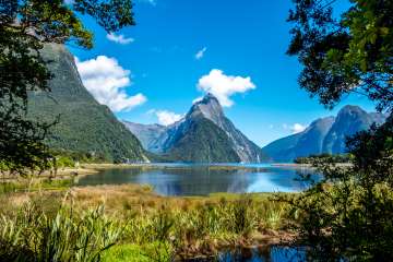 Milford Sound Luxury Private tour with Boat cruise and Gourmet picnic lunch for up to 11 people