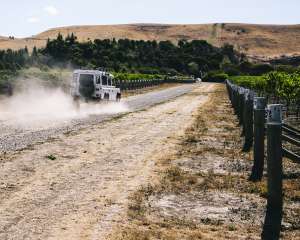 Private Vineyard Tour by Car 