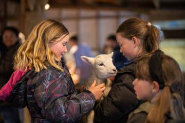 Coach, Farm Tour & Milford Sound Nature Cruise