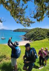  Island & Wildlife Day Cruise