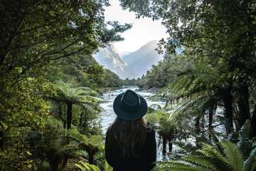 Milford Track Day Walk - Milford Sound