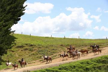 Kates Horse Riding Centre in Kerikeri, Bay of Islands