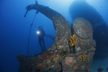 Canterbury Wreck and Reef Dive