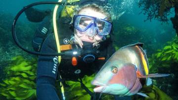 Discover Scuba Dive