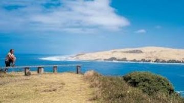 Hokianga Adventure Tour from the Bay of Islands