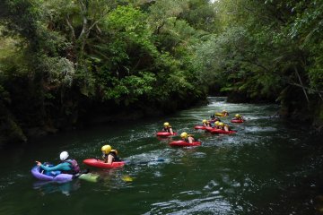 Rotorua Sledging at the Kaituna River