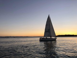 Auckland Harbour Dinner Sailing Cruise with Sightseeing and Sunset in the Hauraki Gulf