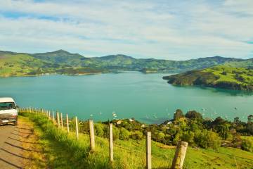 2 Hour Nature Safari in Akaroa Wildside Conservation Area