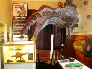 Dinosaur House Museum