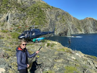 Heli-Fish Experience Marlborough Sounds in Private Helicopter