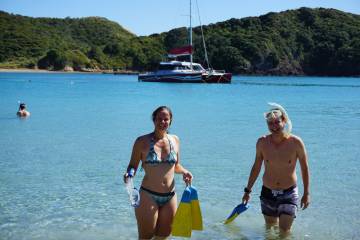 Carino wildlife cruises - Island & Wildlife day Cruise