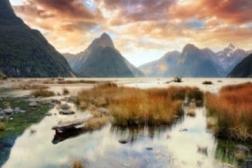 Milford Sound Luxury Private tour with Boat cruise and Gourmet picnic lunch for up to 4 people