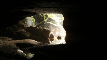 Glow Worm Cave Tour at Punakaiki West Coast New Zealand