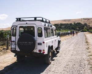 Private Vineyard Tour by car