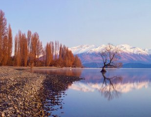 Queenstown to Arrowtown and Wanaka Tour