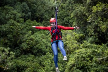 Canopy Tours Ziplining through the Forest Adventure in Rotorua