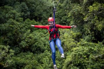Rotorua Canopy Tours Ziplining Forest Adventure
