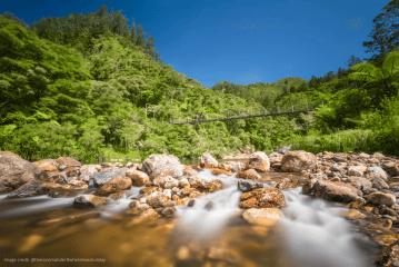 Cycling Adventure - Hauraki Discovery with Beautiful Karangahake Gorge