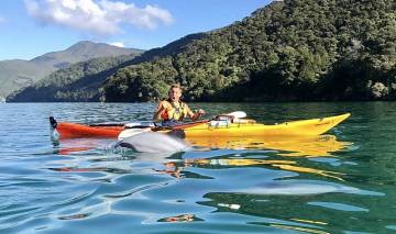 Kayaking in Queen Charlotte Sound Marlborough