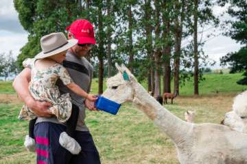 Alpaca Meet Greet and Feed Tour 