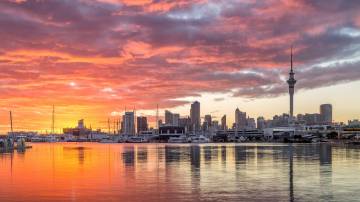 Auckland City Highlight Private Tour