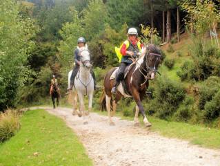 Horse Riding, Wine Tasting & Art Trail Private Tour