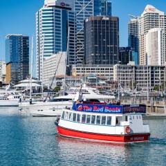 Auckland Scenic Harbour Cruise