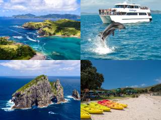 Bay Of Islands Explorer Experience - Small Group Tour From Auckland