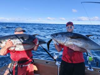 Bluefin Tuna Fishing