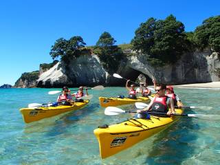 Cathedral Cove Classic Tour