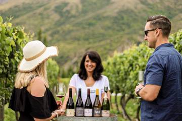Classic Wine Tour - Departs Queenstown daily (1.30pm to 5.00pm)