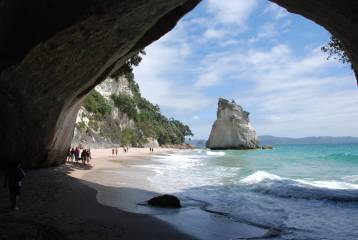 Coromandel Beach, Caves & Forest Private Tour